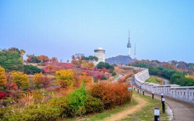 2024년 SSBS 동문회 가을산행 안내